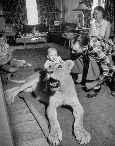 ben loory stories on this american life