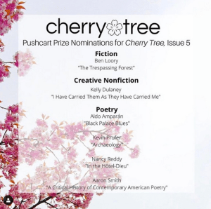 Cherry Tree Pushcart Nominations